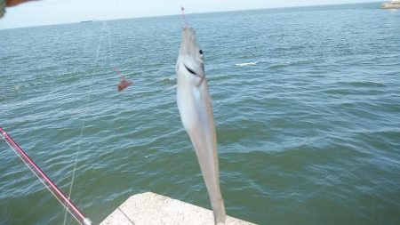 高砂初ポイント釣行