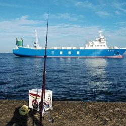 播磨新島でキス釣り