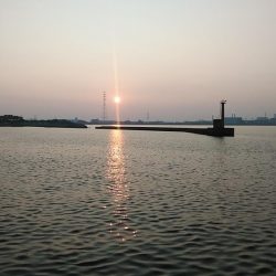 高砂・播磨新島へキス釣査