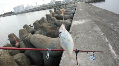 高砂港でキス狙い