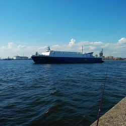 依然厳しい播磨新島のキス