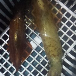 やる気スイッチどこ～？