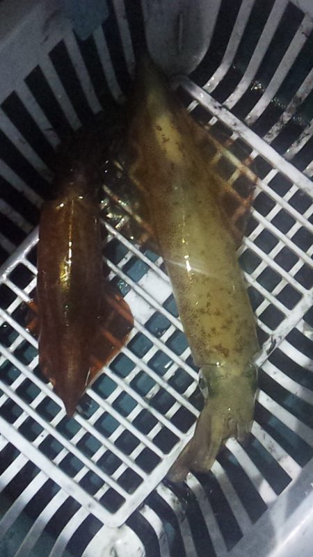 やる気スイッチどこ～？