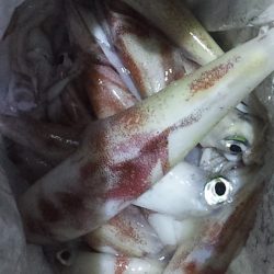 いつまで続くのこの渋さ