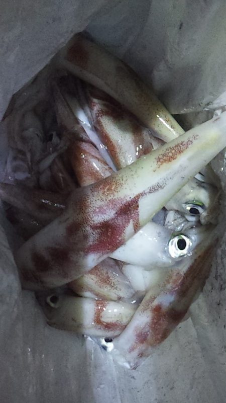 いつまで続くのこの渋さ