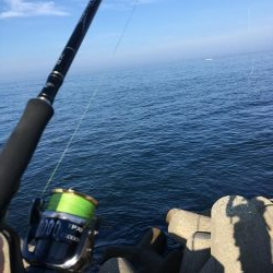 夏休みはキス、ガシラでスタート！