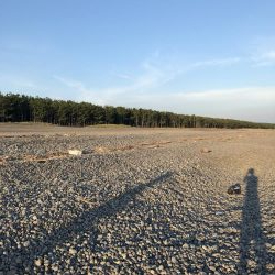 初ジギング粘り勝ち