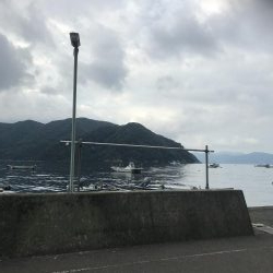 激アツ！カワハギゲーム