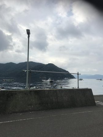 激アツ！カワハギゲーム