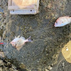 まだまだ続くよキス祭り