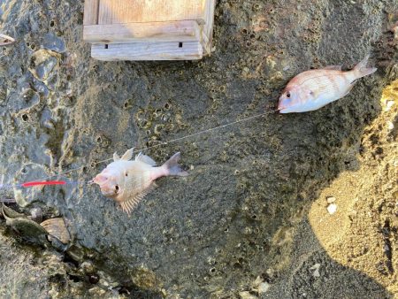 まだまだ続くよキス祭り