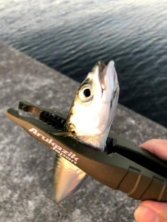 早朝サバングin西宮ケーソン2