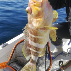 どうした日本海。。