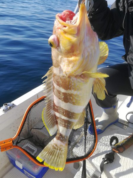 どうした日本海。。