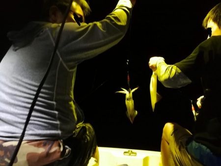 マイボートでイカメタル