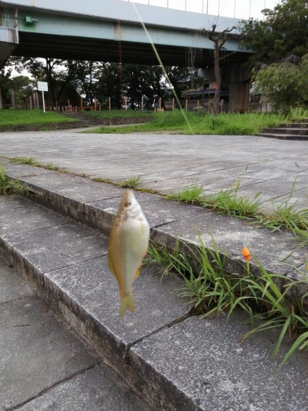 子供と夕涼みへ！