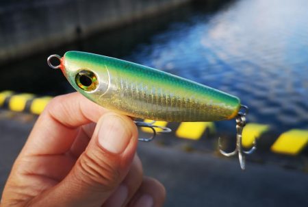 台風通過後の早朝　ギンガメアジ