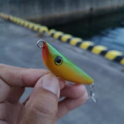 自作ペンシルでゴマフエダイ