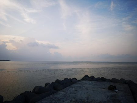 シンペンでゴマフエダイ