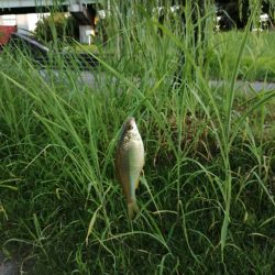 今日は一人で‼️