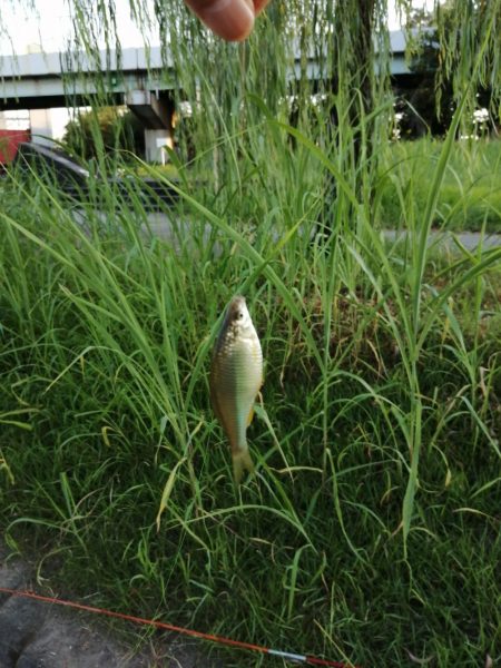 今日は一人で‼️