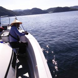 遊漁船SOUTH8/17釣果