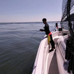 遊漁船SOUTH8/19釣果