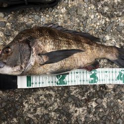 釣りキャンプ~長崎南部方面~