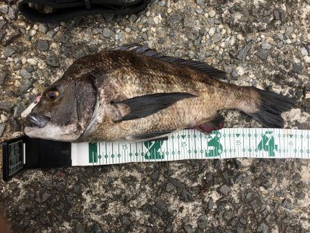 釣りキャンプ~長崎南部方面~