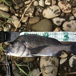 荒れている状況、ルアーアクションは丁寧に！