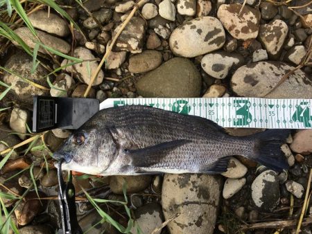 荒れている状況、ルアーアクションは丁寧に！