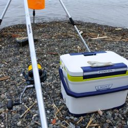 猛暑のキス釣り