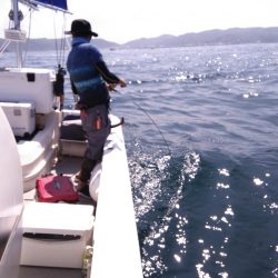 遊漁船SOUTH 8/30釣果