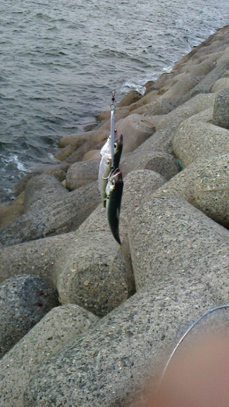 二日連続の釣行