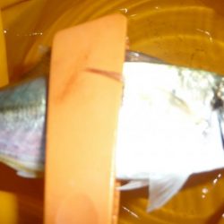 周りは爆釣！！