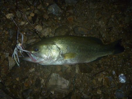 夕立スピナーベイト