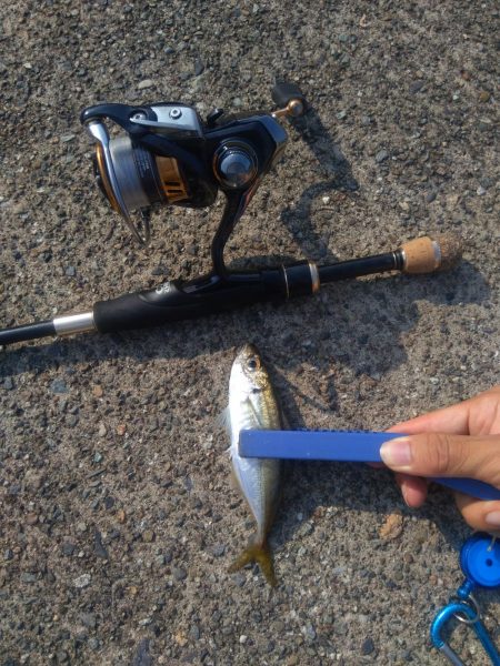 ぶっ込み釣り ミャク釣り 泳がせ釣り