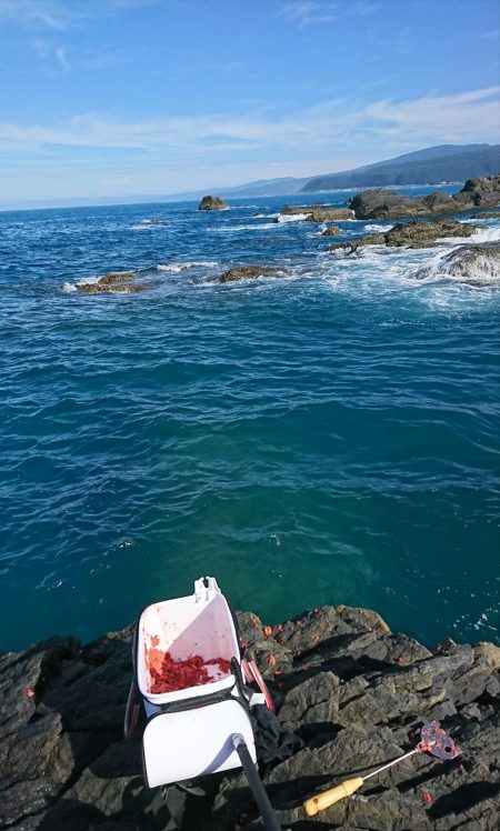 地磯にて30cmアップのグレ3匹