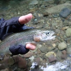 禁漁前に良型求めて