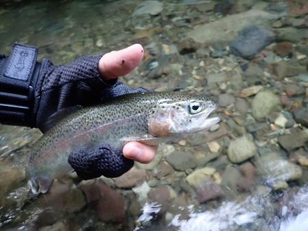 禁漁前に良型求めて