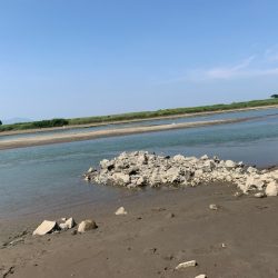 トップ調査の短時間釣行