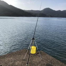 豆アジで呑ませ