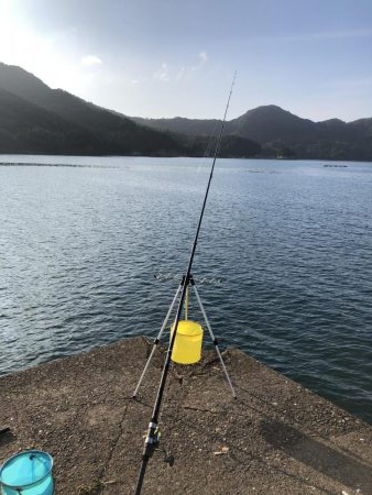 豆アジで呑ませ