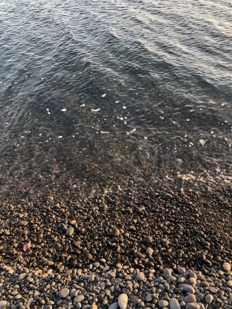 初ジギング粘り勝ち