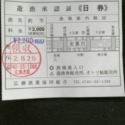 安曇川広瀬で友釣り