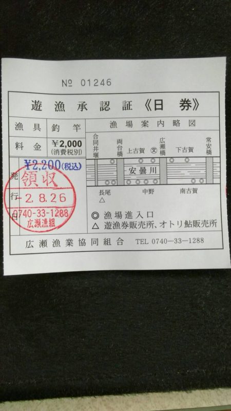 安曇川広瀬で友釣り