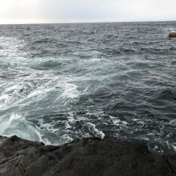 朝マズメアジング