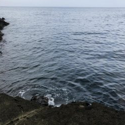 朝マズメアジング