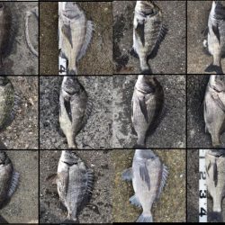 イチノ兄弟、釣果！