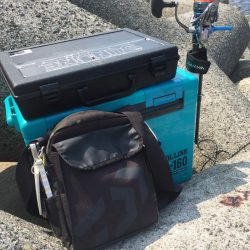 ２週間ぶりのツバス